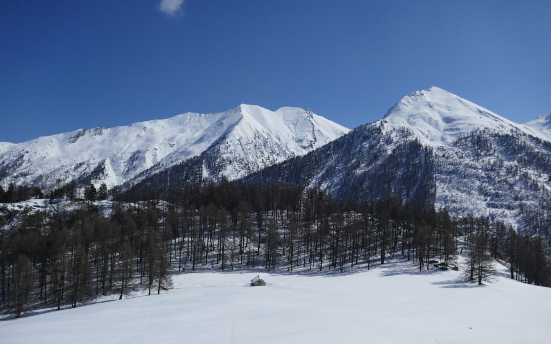 JACQUES A DIT : “T’AS RATÉ TA VIE”