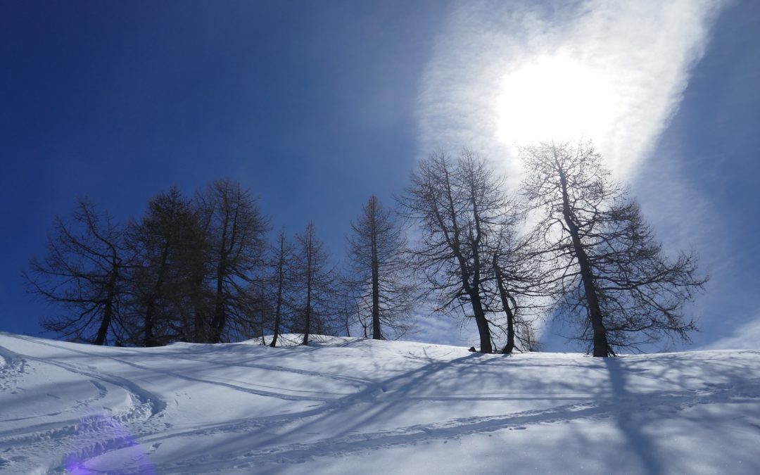 YOU FORGOT SOMETHING TODAY.